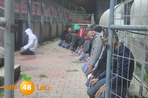 shababludkora (11).JPG